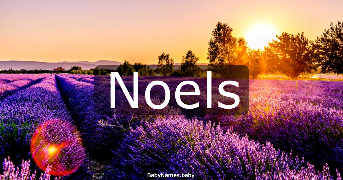 Noels