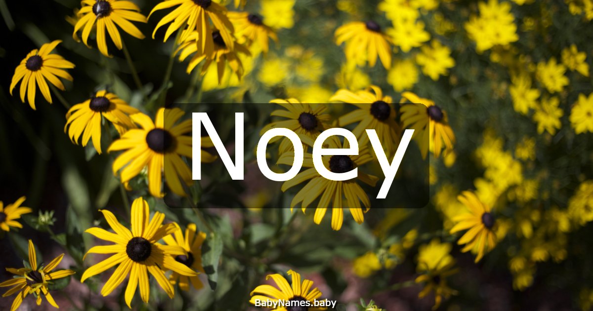 Noey