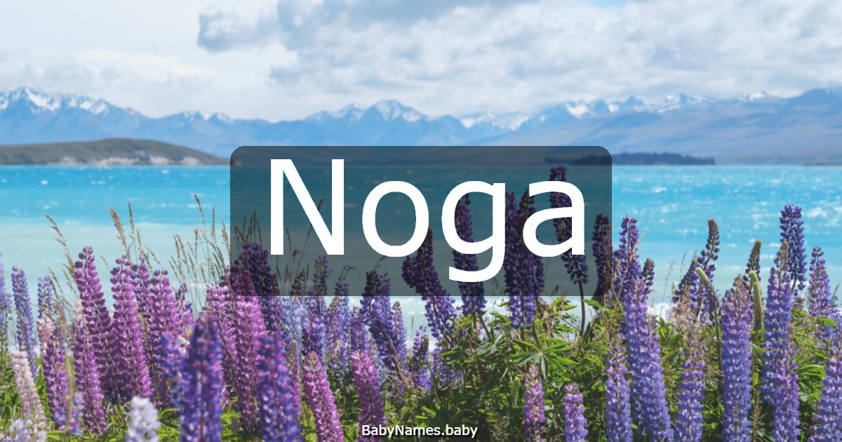 Noga