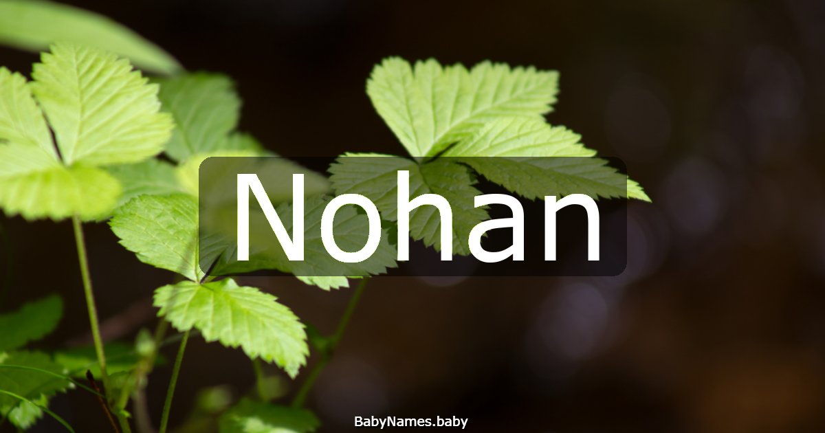 Nohan