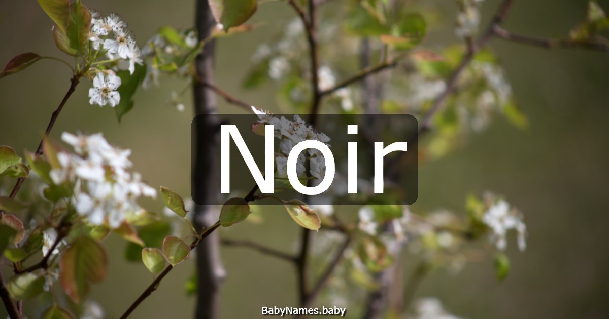 Noir