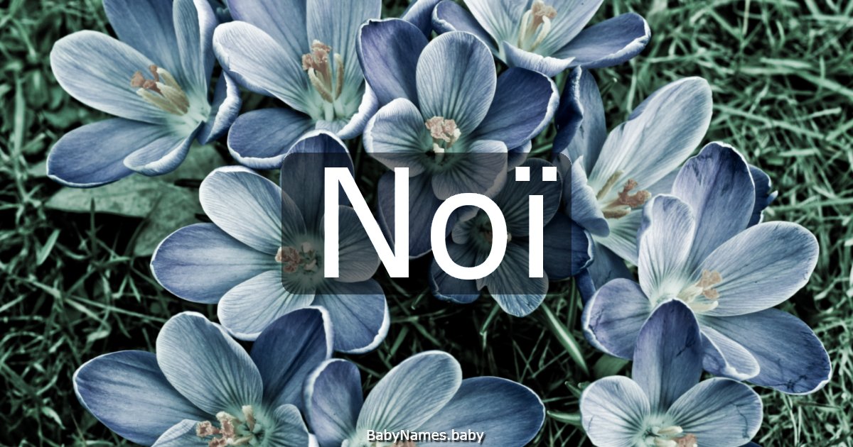 Noï