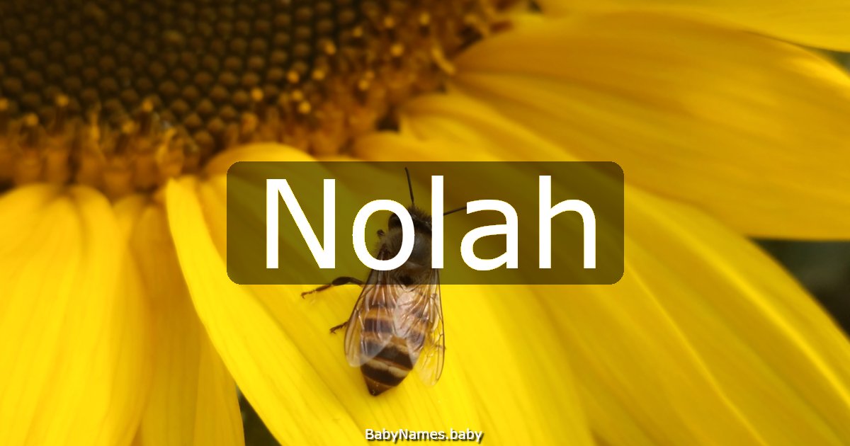 Nolah