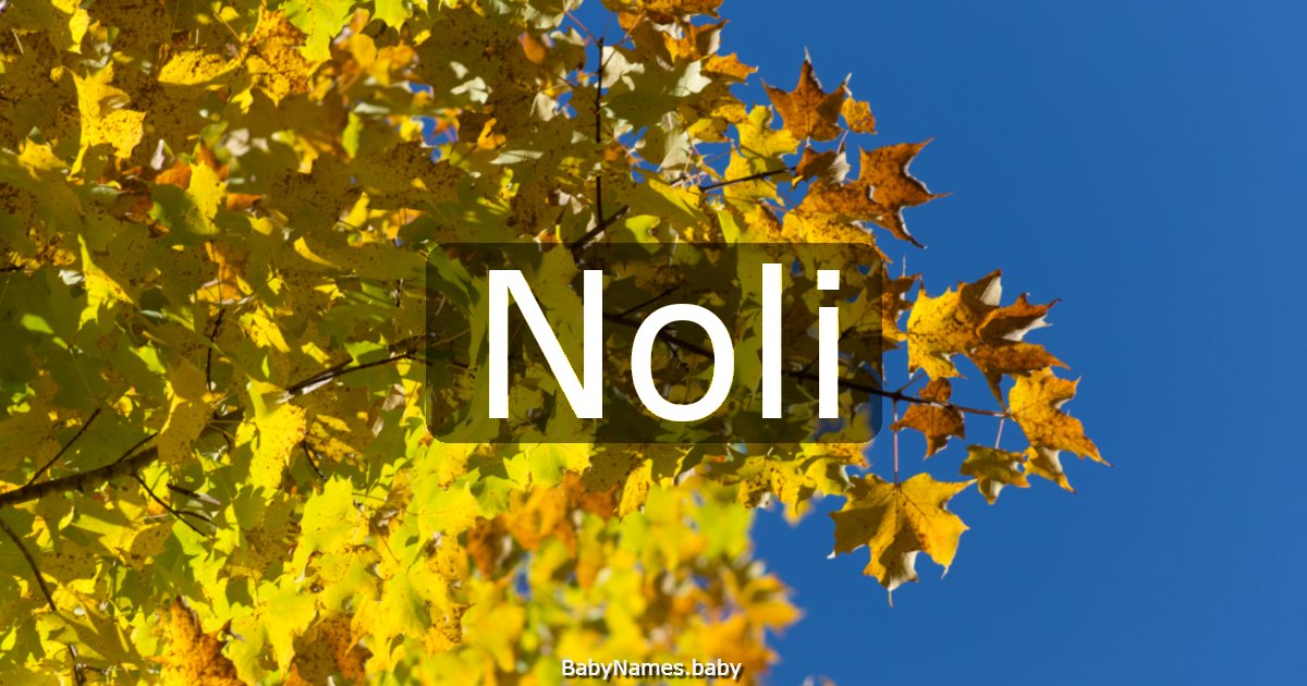 Noli