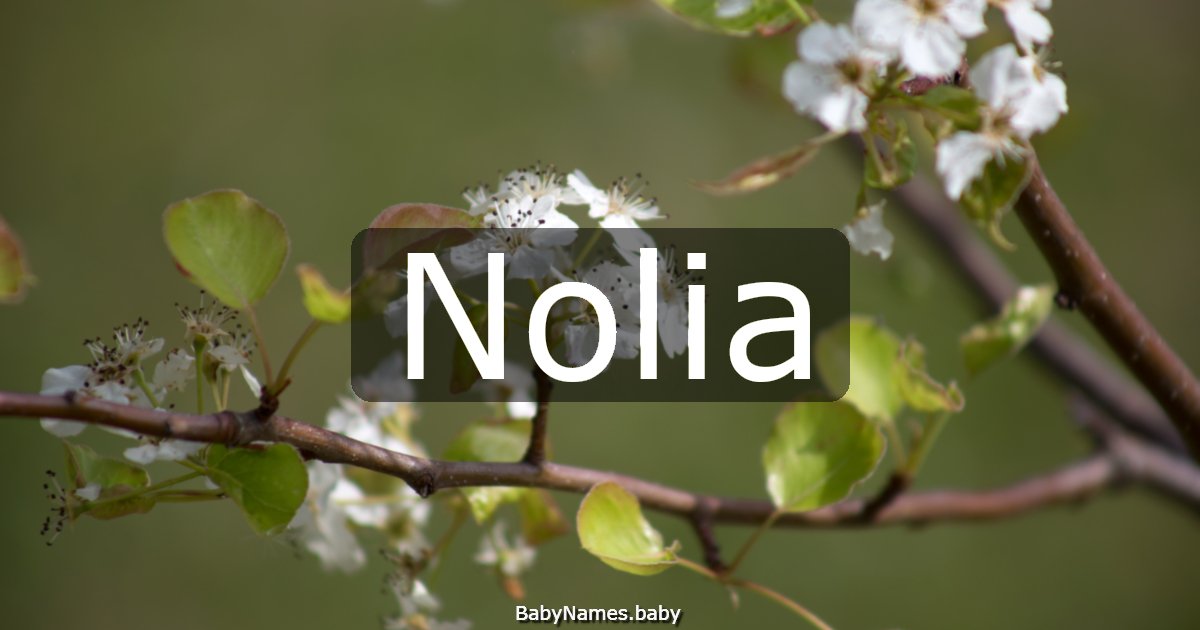 Nolia