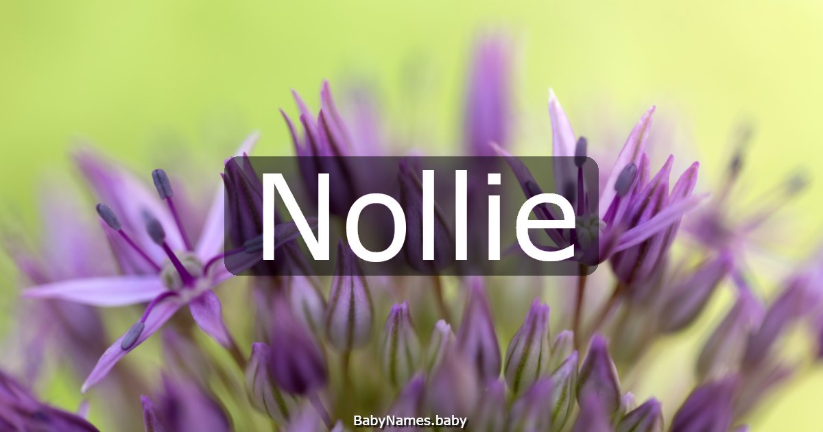 Nollie