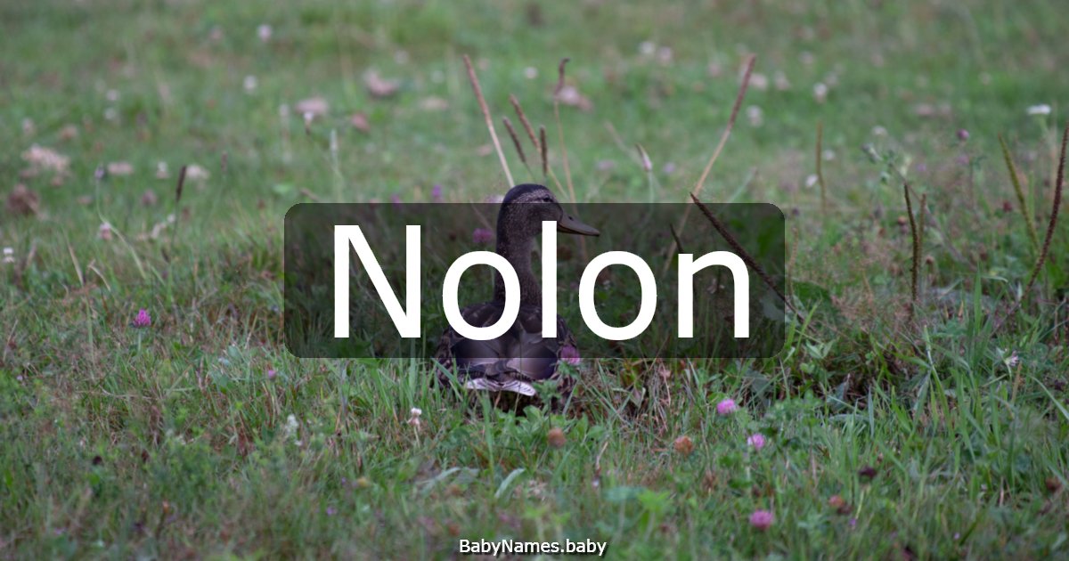 Nolon