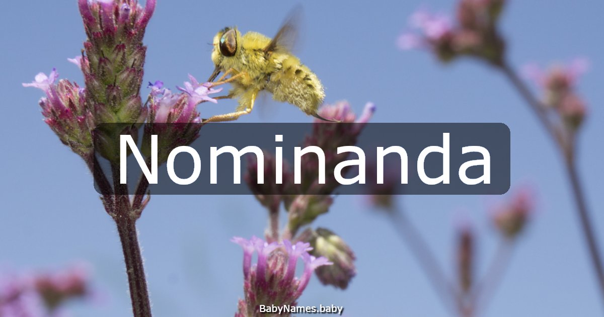 Nominanda