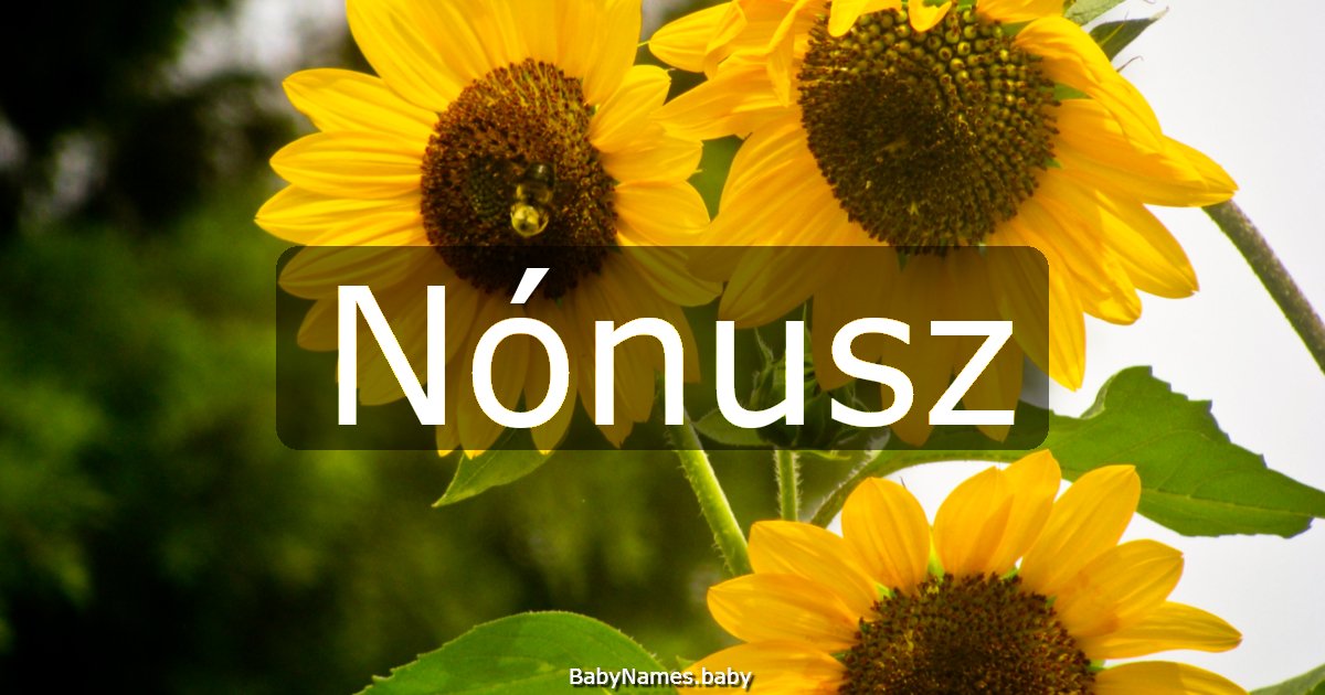 Nónusz