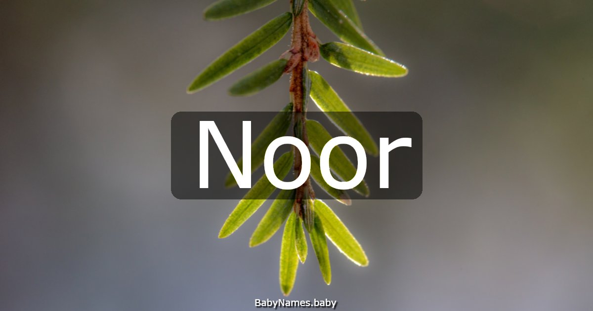 Noor