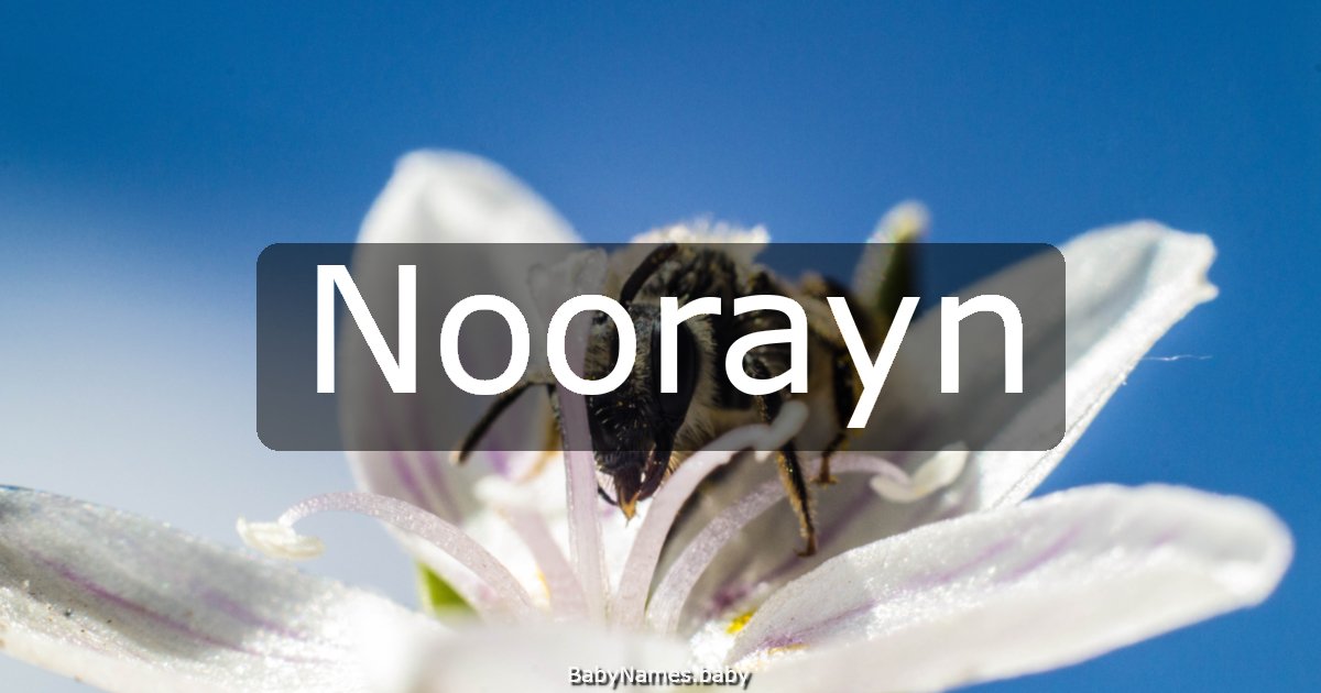 Noorayn