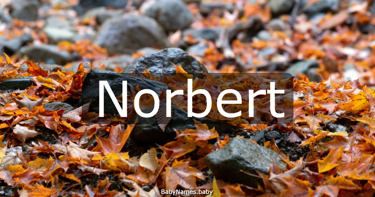 Norbert