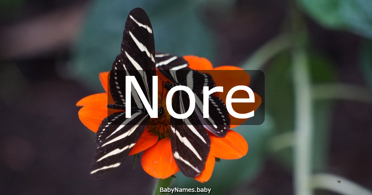 Nore