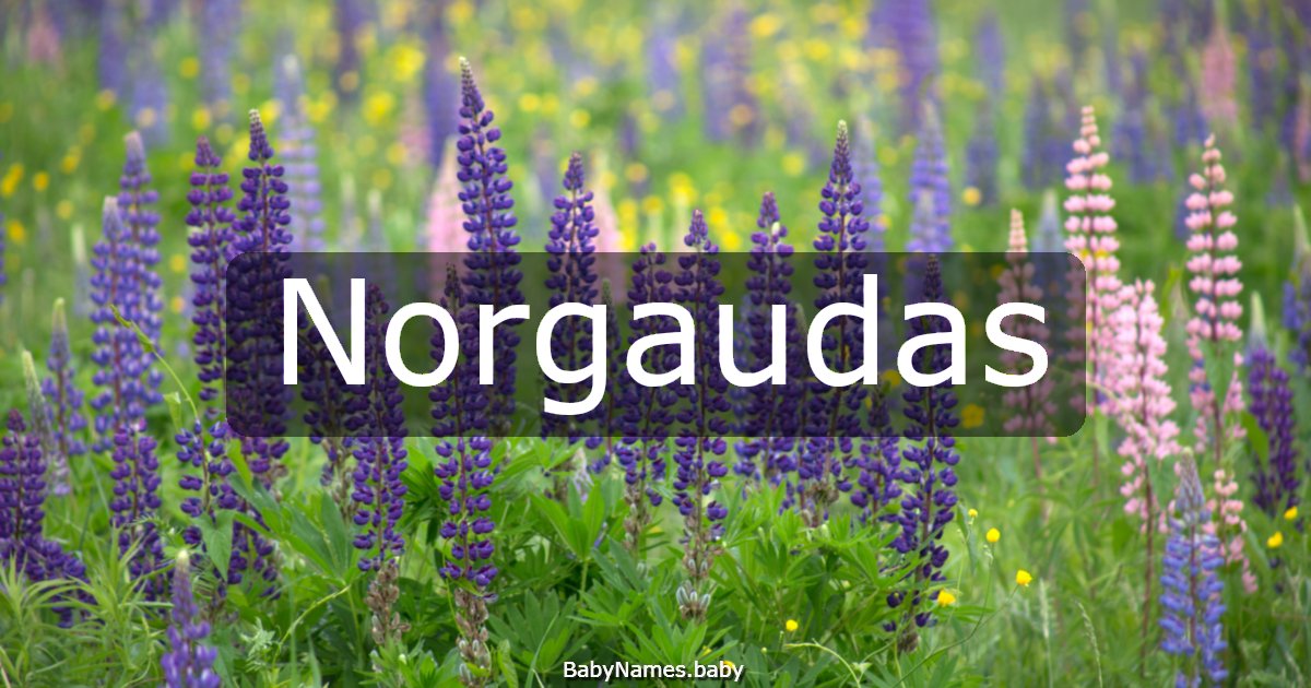 Norgaudas