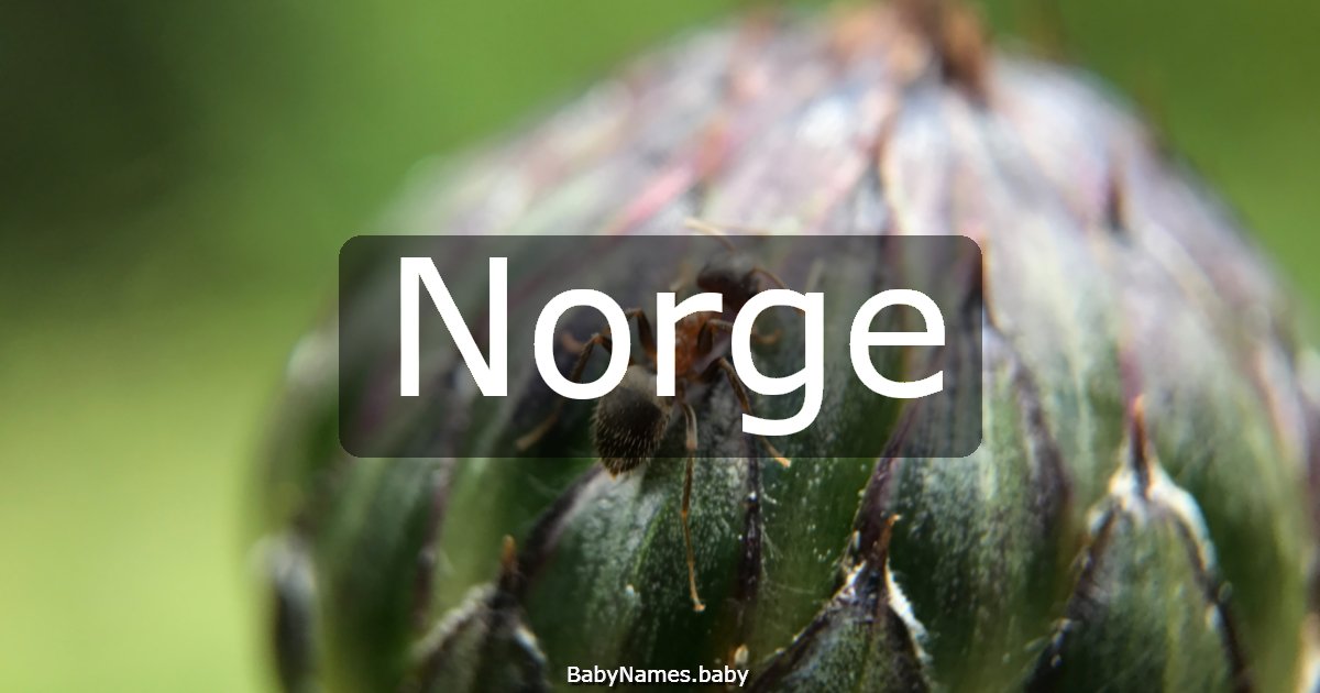 Norge