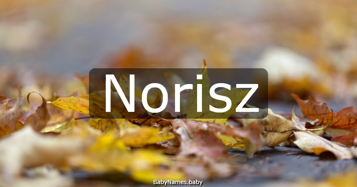 Norisz