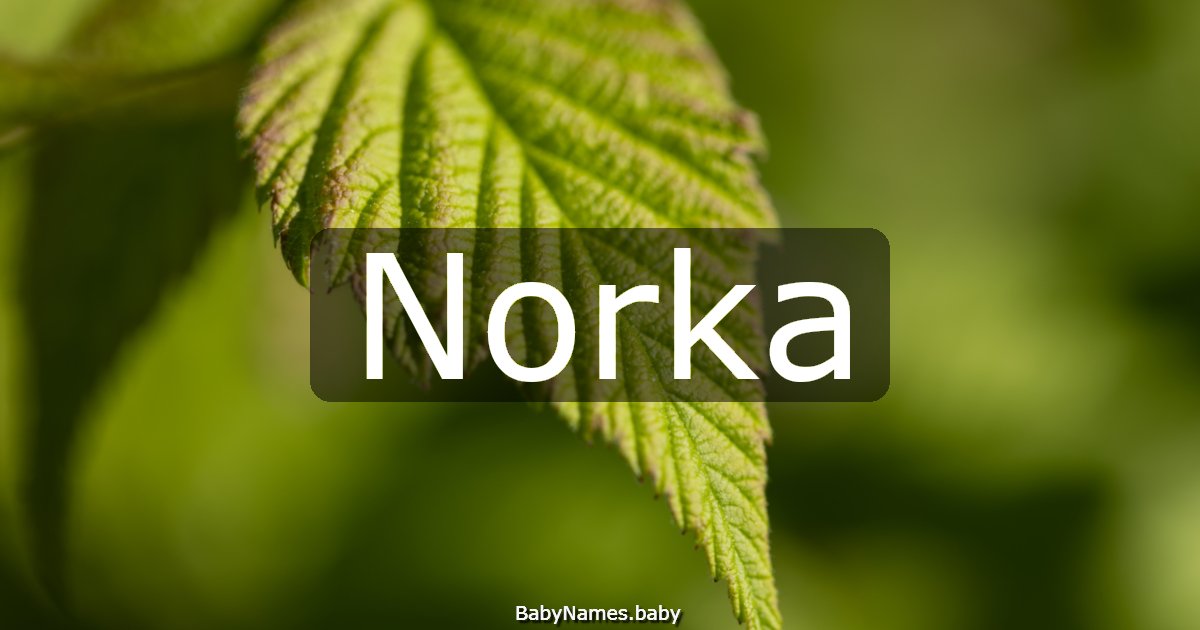 Norka