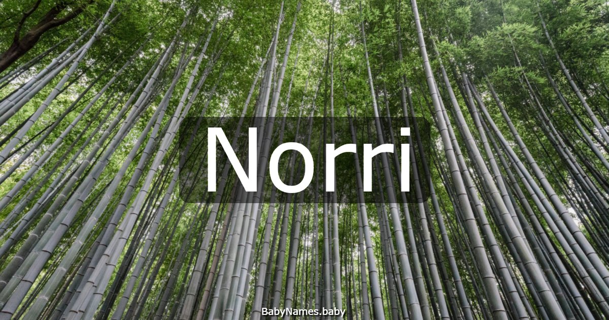 Norri