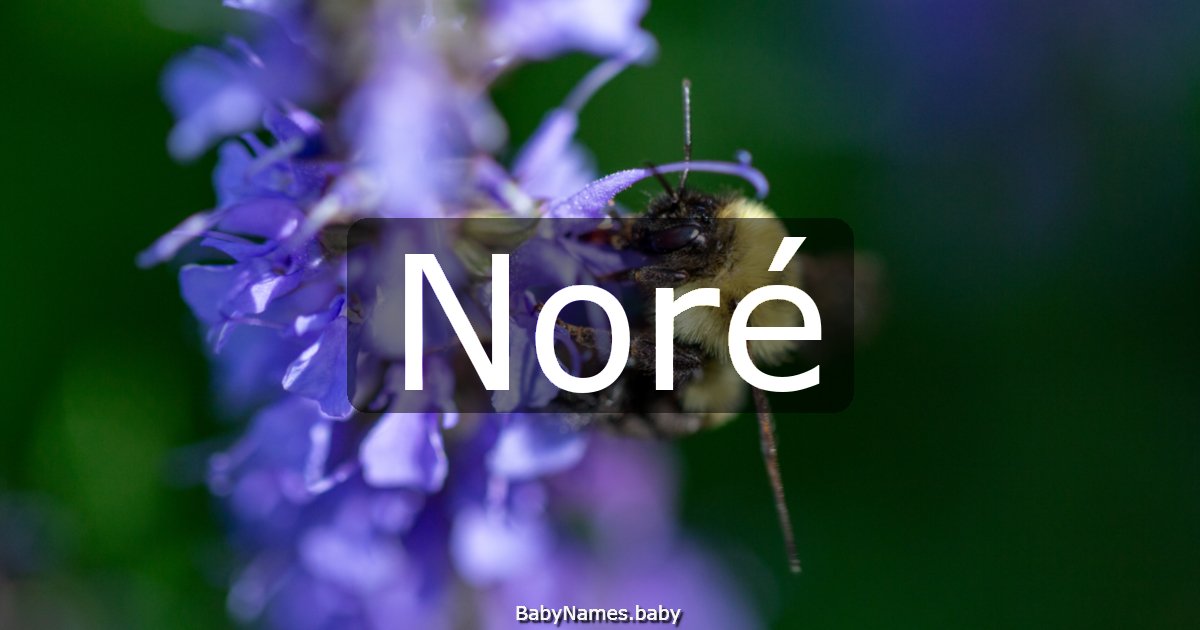 Noré
