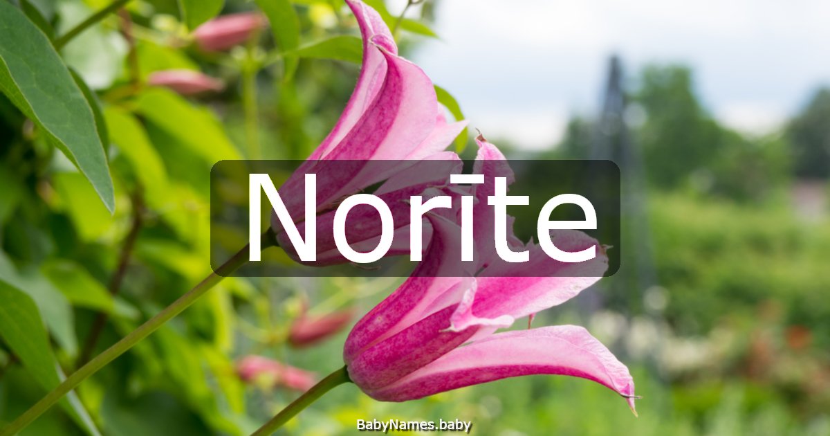 Norīte
