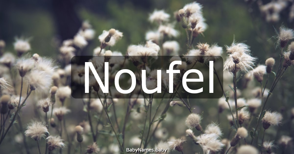 Noufel