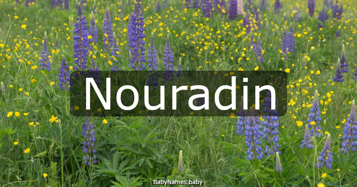 Nouradin