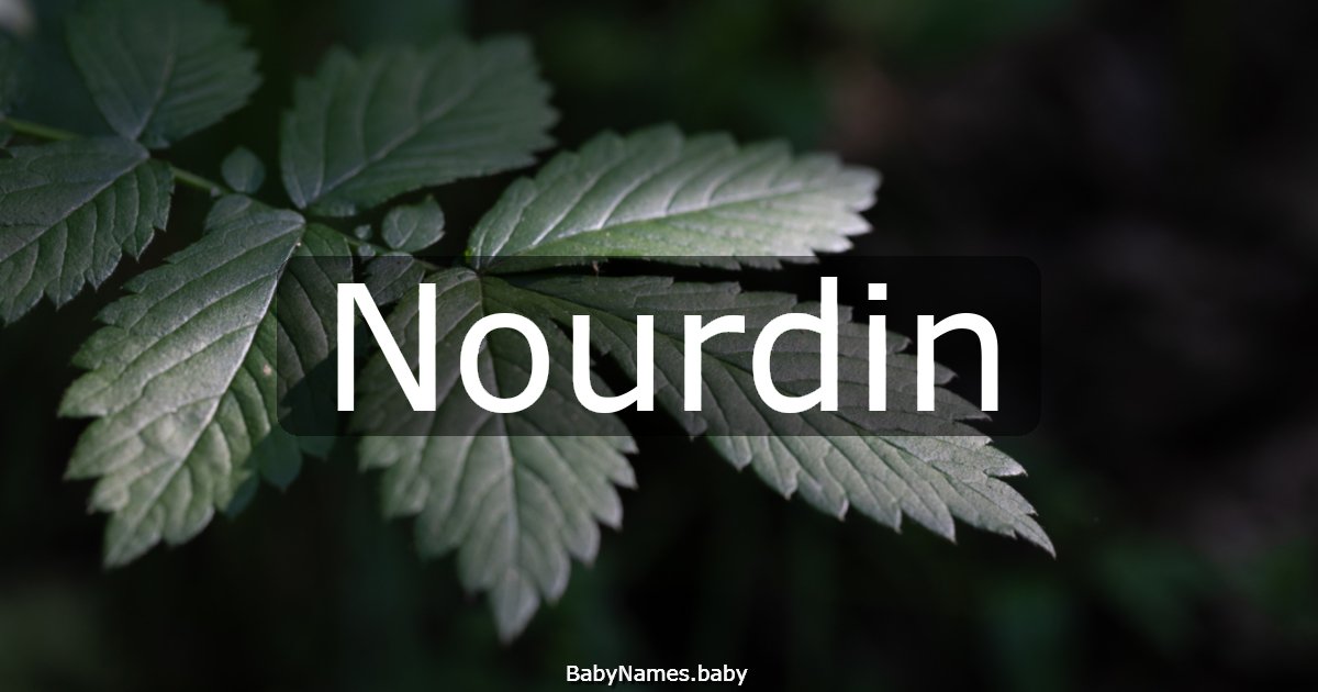 Nourdin