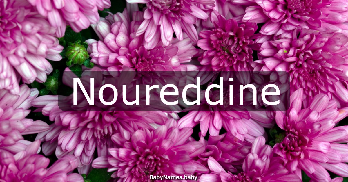 Noureddine