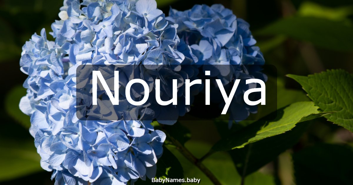 Nouriya