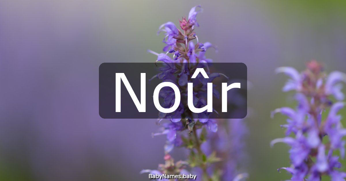 Noûr