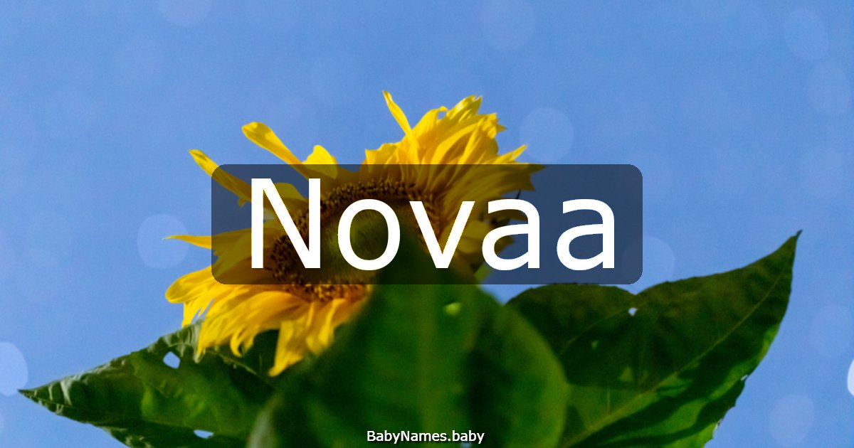 Novaa