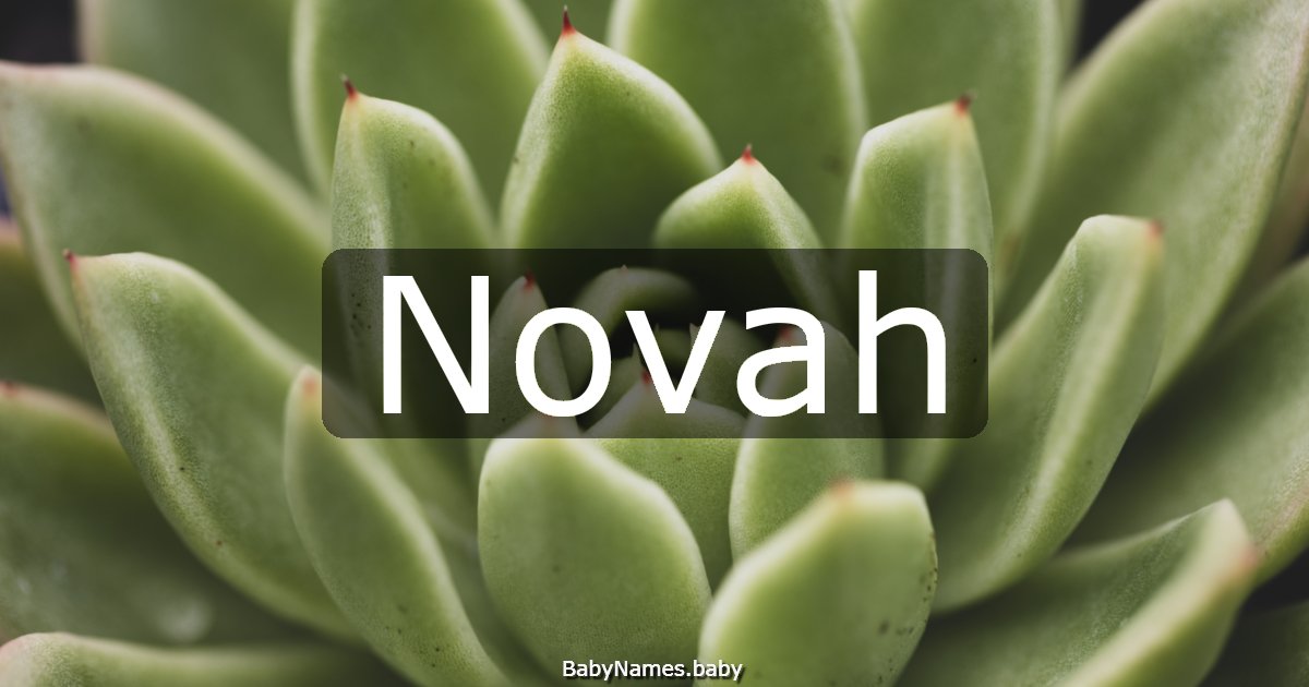 Novah