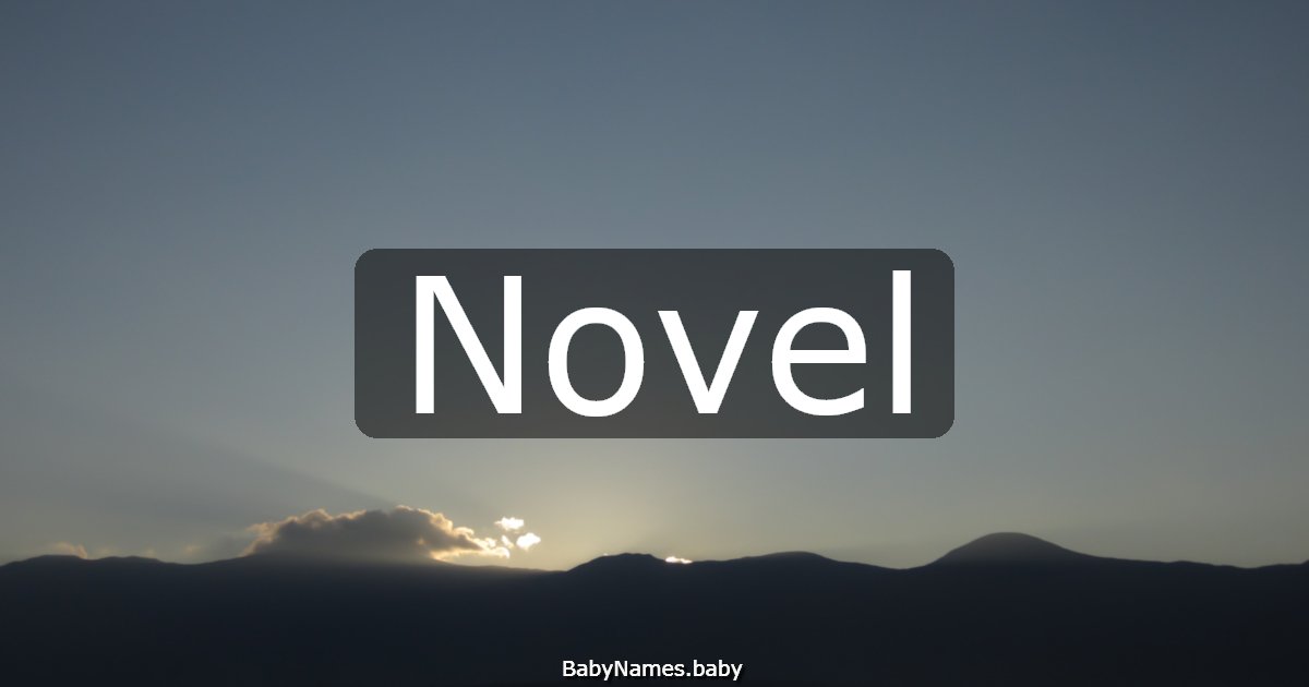 Novel