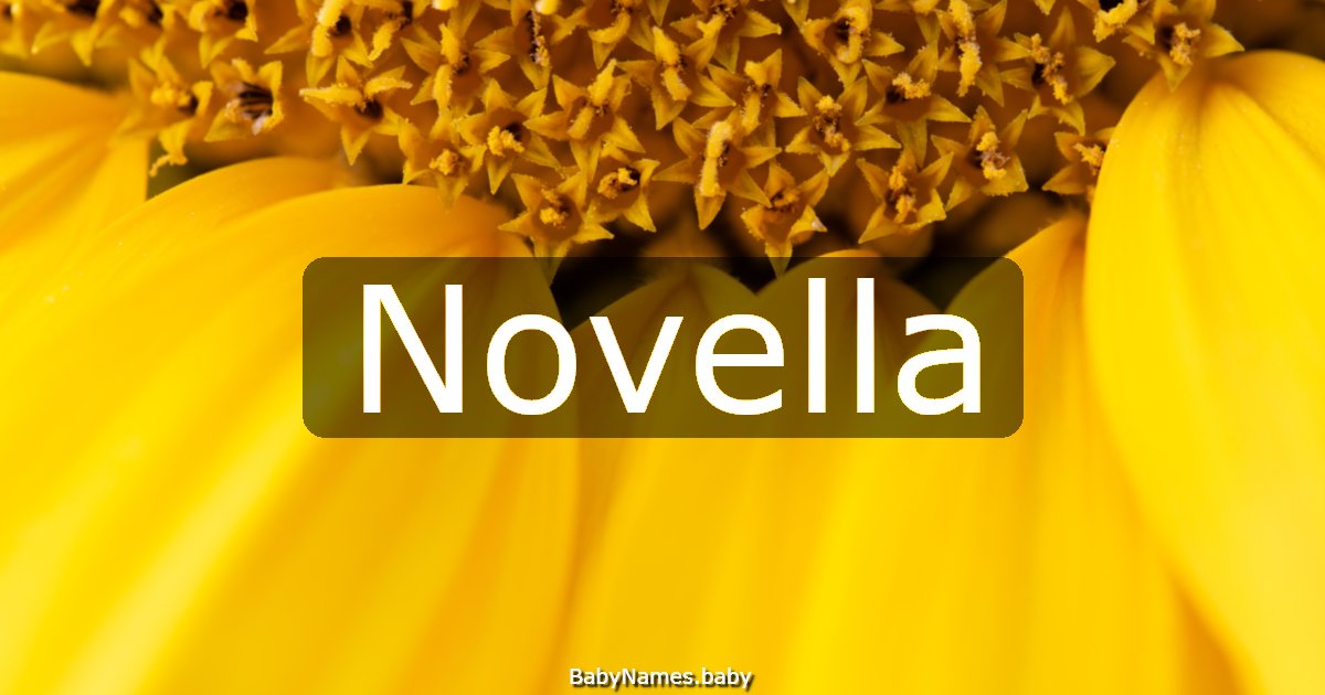 Novella