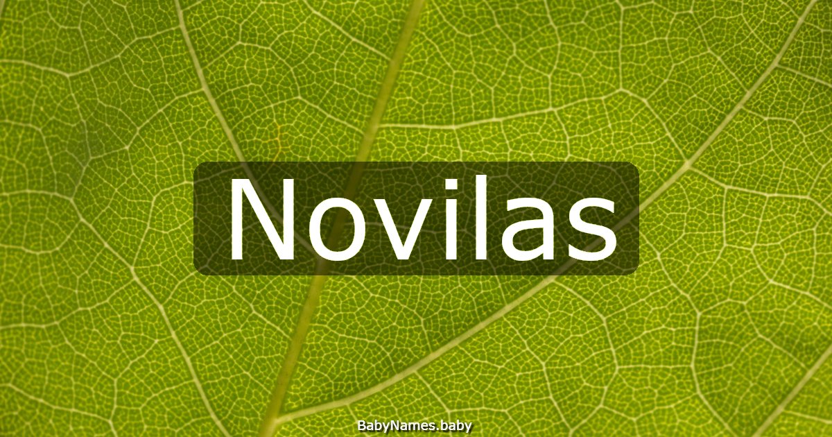 Novilas