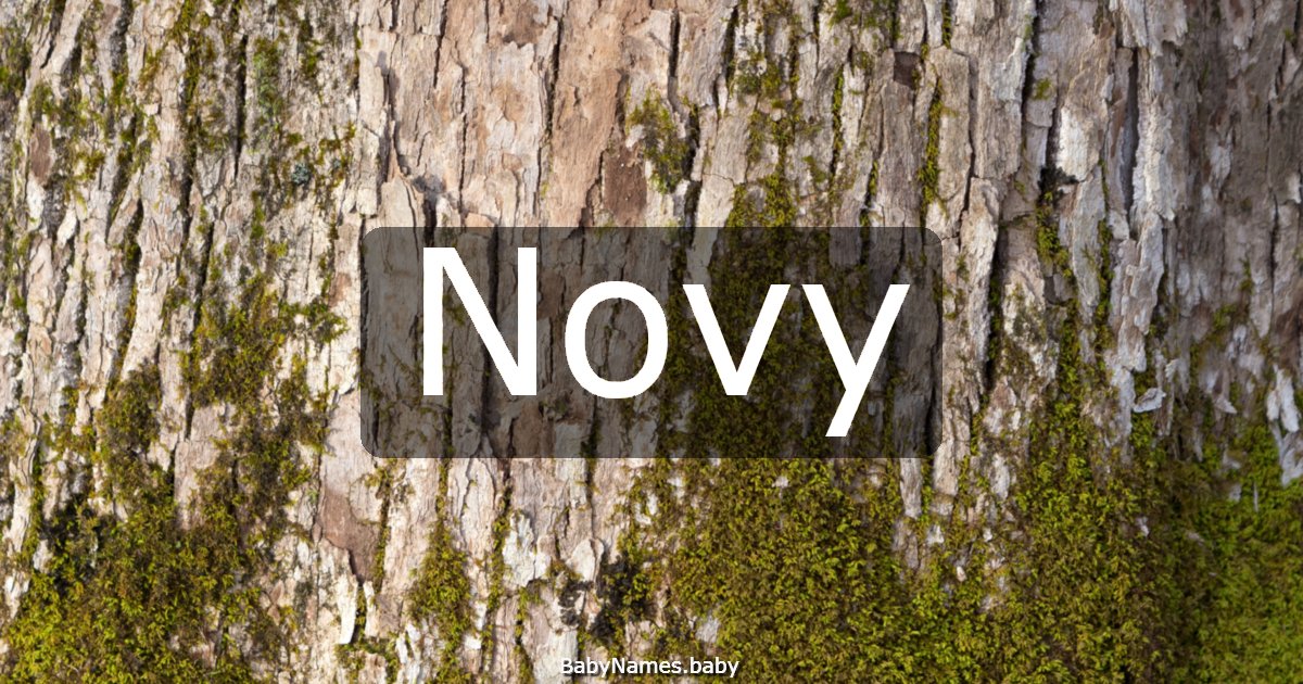 Novy