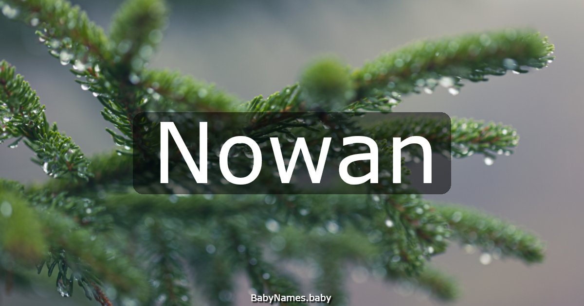 Nowan