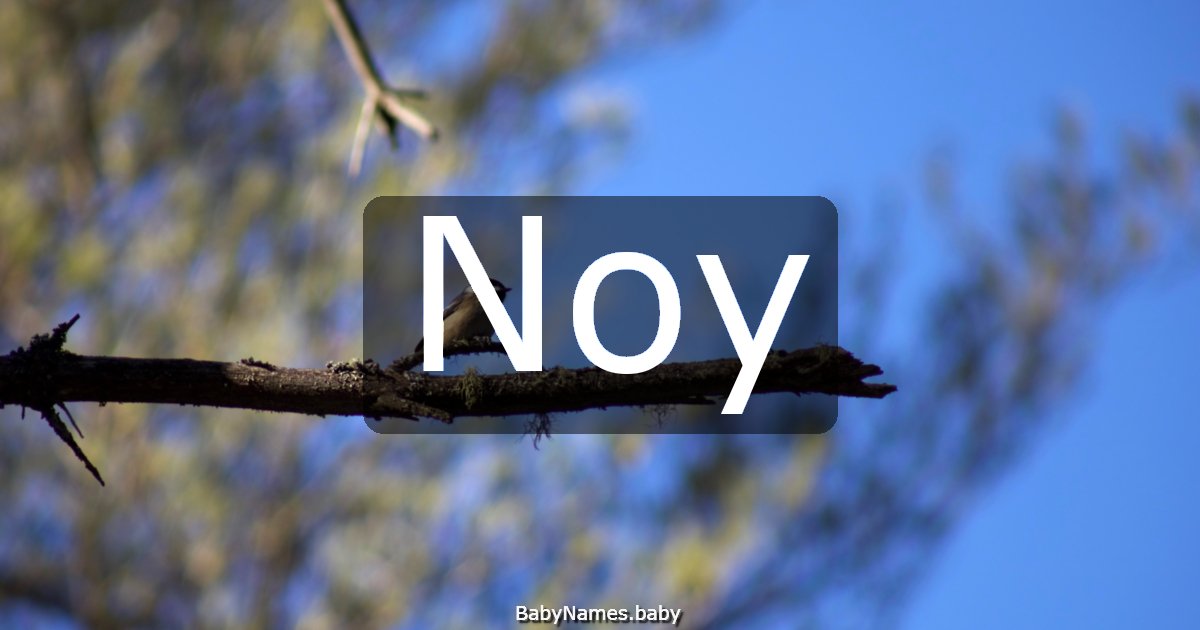 Noy