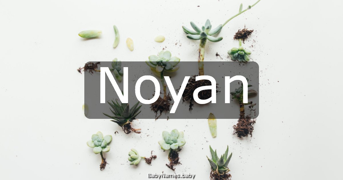 Noyan