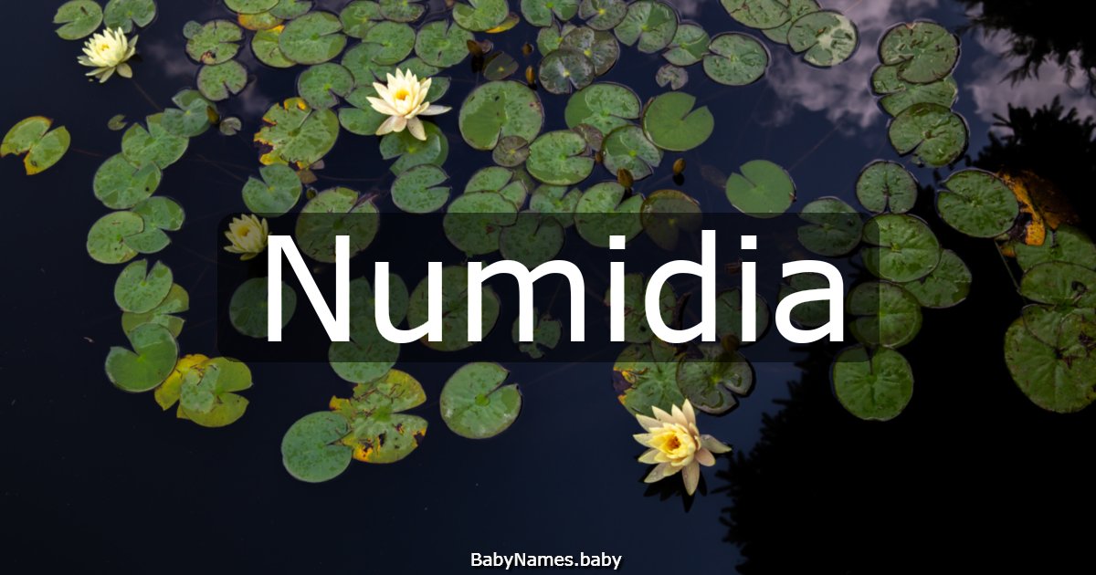 Numidia