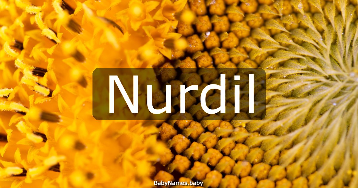Nurdil