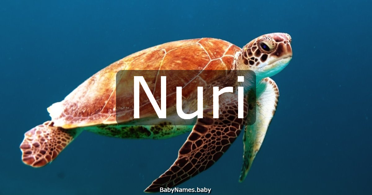 Nuri