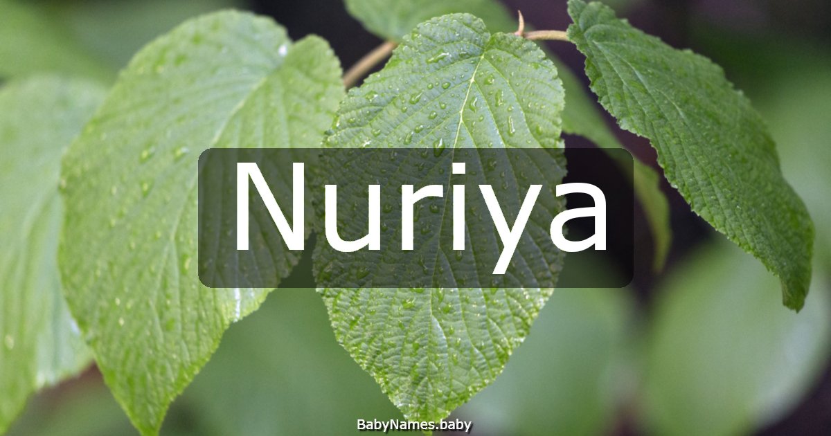 Nuriya