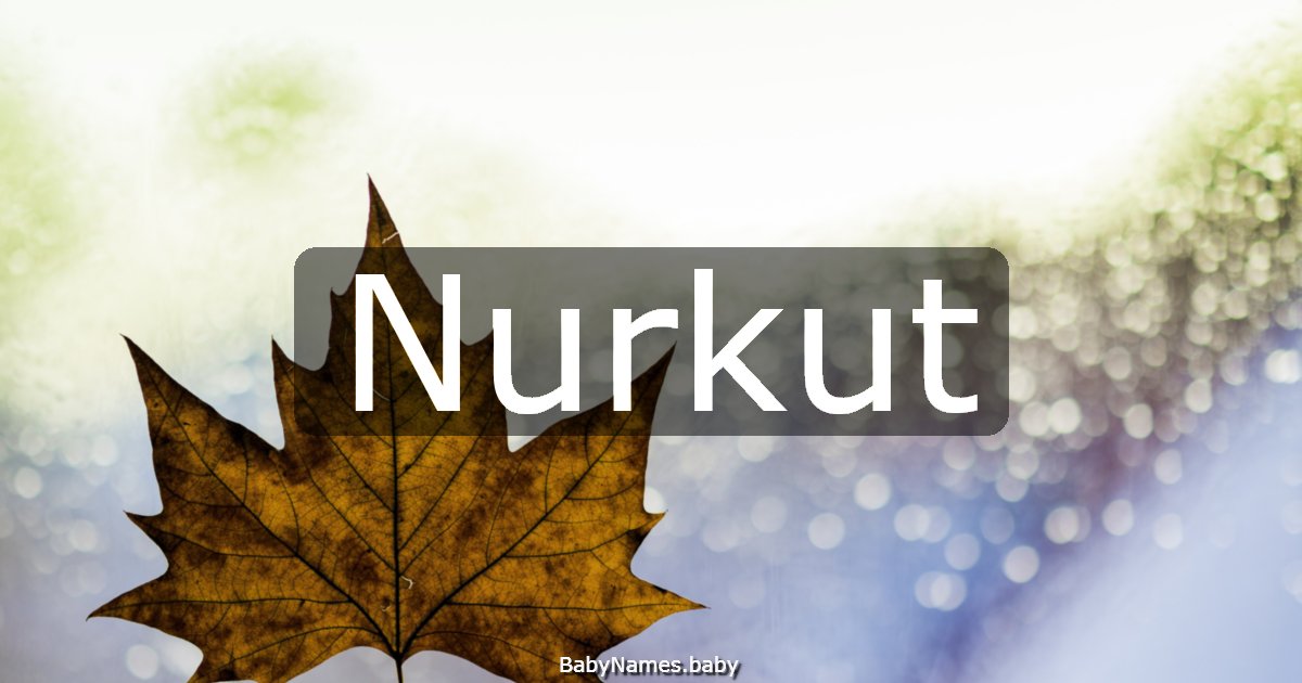 Nurkut