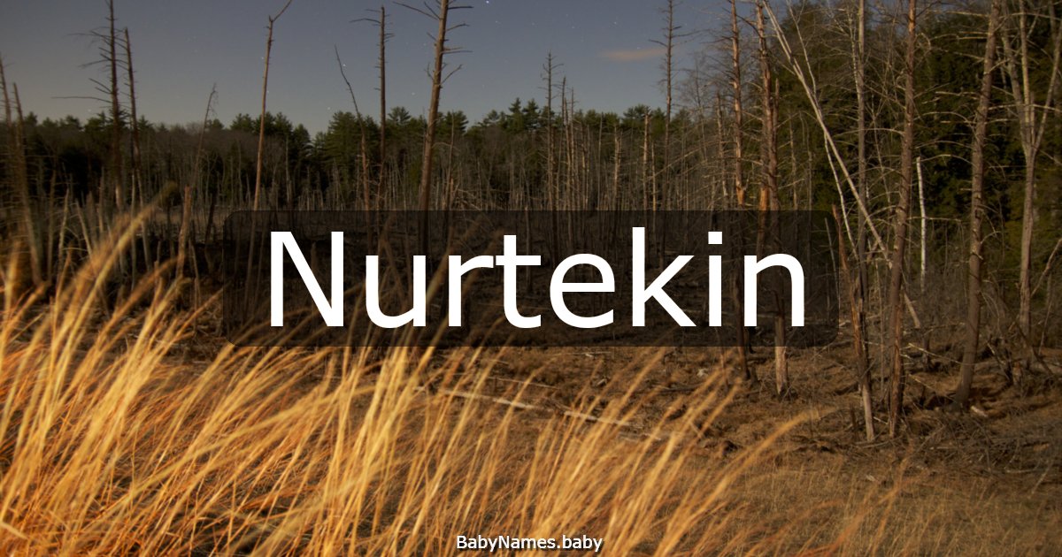 Nurtekin