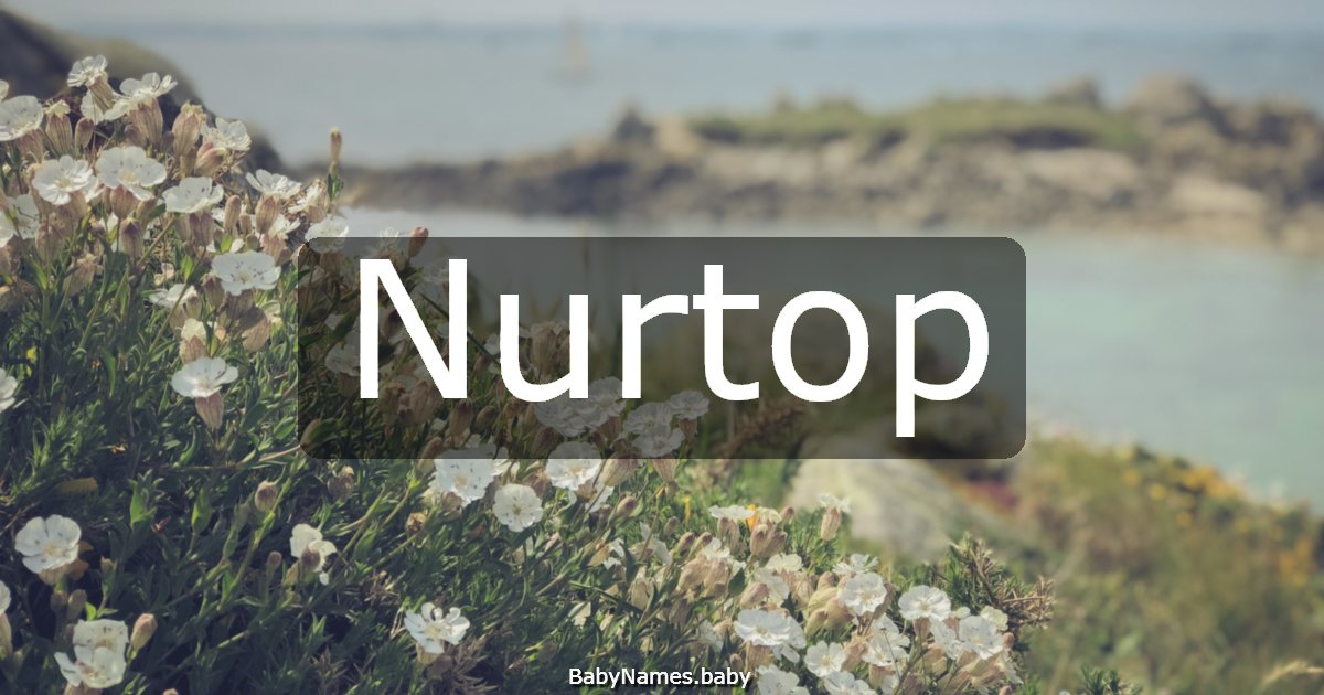 Nurtop