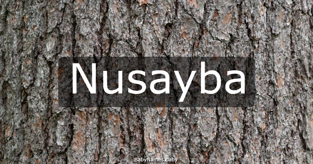 Nusayba