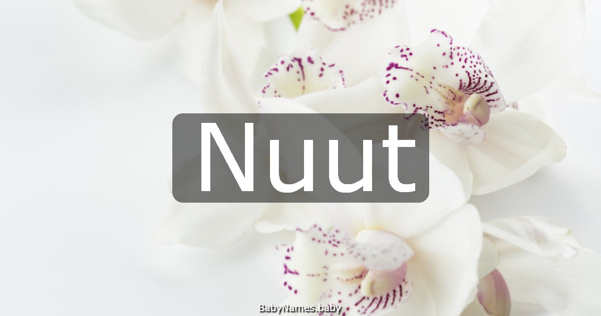 Nuut