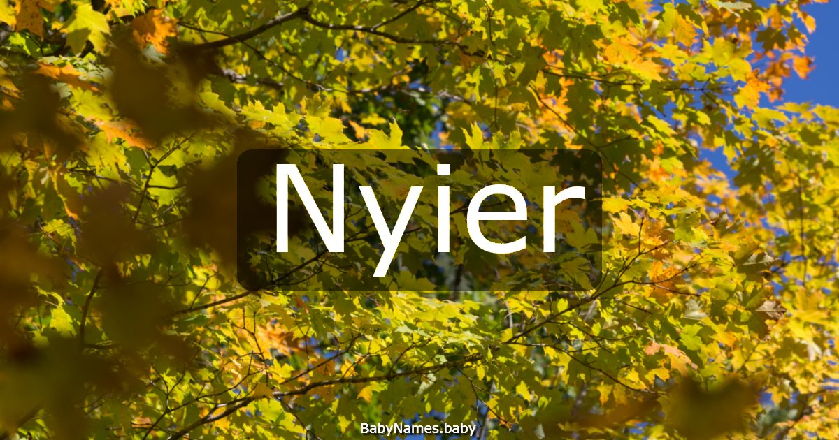 Nyier