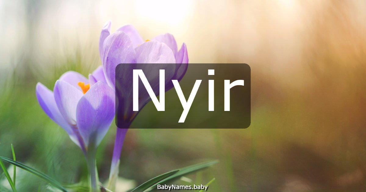 Nyir